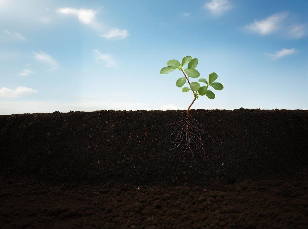 �����h���z�y����ҷ���